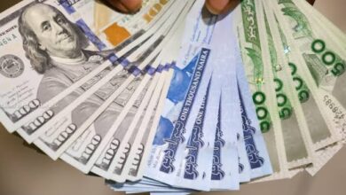 Naira Faces Mixed Sentiments Amid Strong FX Demand