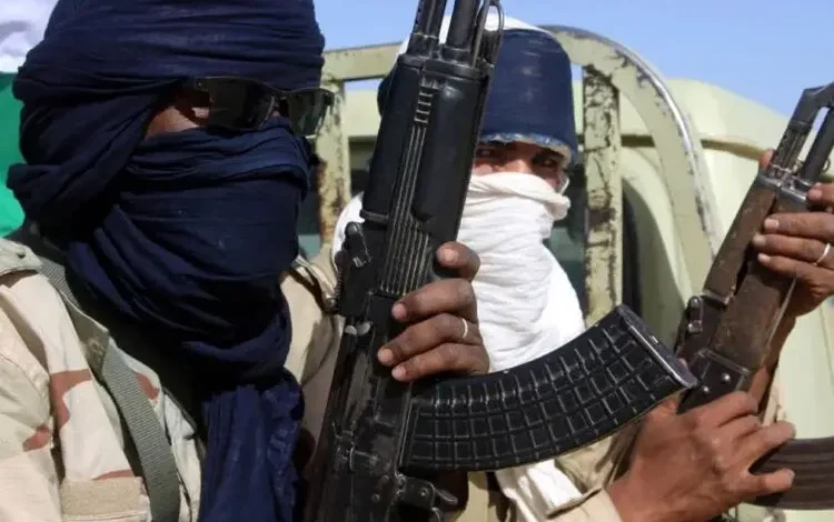 Government could not rescue schoolgirls, they negotiated with us – Bandits reveal in new video