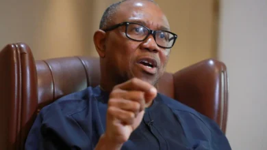 ‘I won 2023 presidential election’ – Peter Obi insists