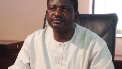 Femi Adesina