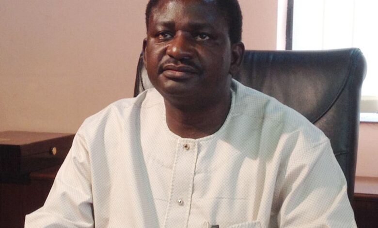 Femi Adesina