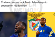 Marco Silva Wants A Fulham Reunion: Benfica Boss Eyes Chelsea's Tosin Adarabioyo To Strengthen His Defence