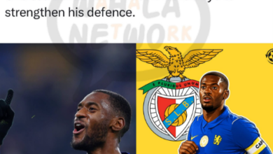 Marco Silva Wants A Fulham Reunion: Benfica Boss Eyes Chelsea's Tosin Adarabioyo To Strengthen His Defence