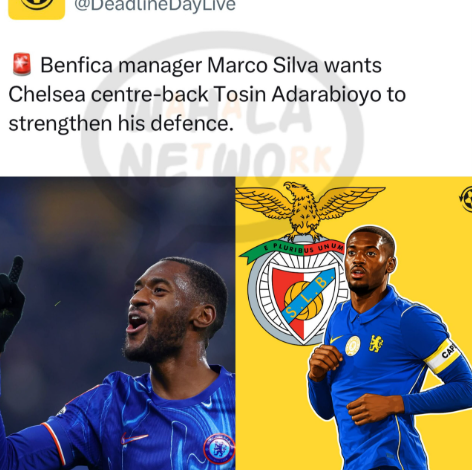 Marco Silva Wants A Fulham Reunion: Benfica Boss Eyes Chelsea's Tosin Adarabioyo To Strengthen His Defence