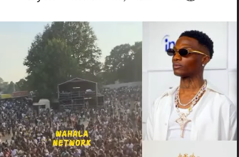 Crowd Goes Wild For Wizkid Anthems At Davido's Sold-Out London Show — Even Without Big Wiz On Stage