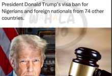 Federal Judge Strikes Down Trump's Visa Ban Covering Nigeria and 74 Other Countries