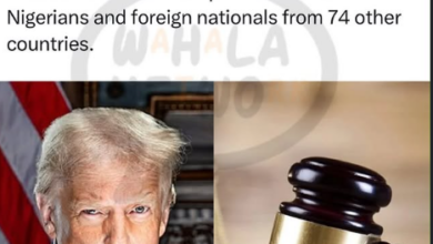 Federal Judge Strikes Down Trump's Visa Ban Covering Nigeria and 74 Other Countries