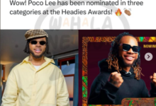 From Viral Street Dancer To Triple Headies Nominee — Poco Lee Is Not Playing Anymore!
