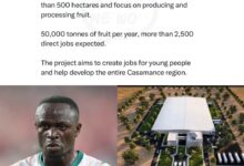 From Golden Boots to Fruit Crates: Sadio Mané Is Building a 500-Hectare Agro-Industrial Empire Back Home