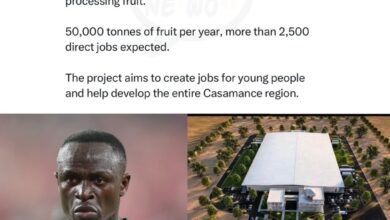 From Golden Boots to Fruit Crates: Sadio Mané Is Building a 500-Hectare Agro-Industrial Empire Back Home
