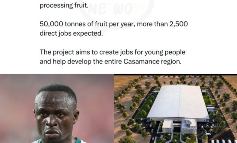 From Golden Boots to Fruit Crates: Sadio Mané Is Building a 500-Hectare Agro-Industrial Empire Back Home