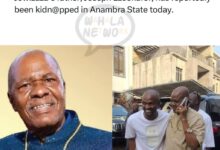 Anambra Billionaire Chief Joseph Ezeokafor, Jowizaza's Father, Reportedly Kidnapped