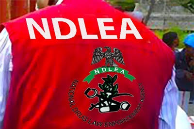 ₦4.4 Billion Worth of "Thai Loud" Intercepted at Lagos Ports — NDLEA Uncovers a Brand New Trafficking Route