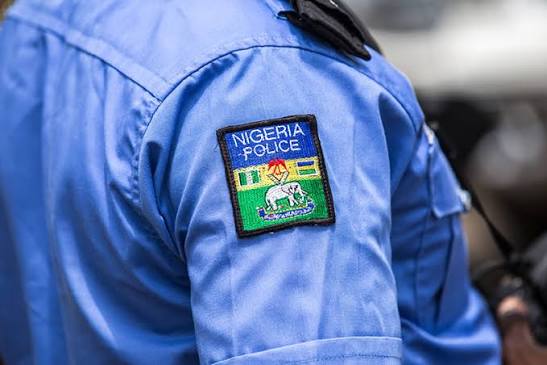 Student vs Officer: Enugu Checkpoint Confrontation Reignites the "Can You Record the Police?" Debate