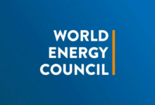 Develop minerals into jobs, factories, WEC tells Government
