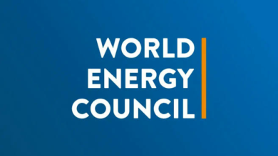 Develop minerals into jobs, factories, WEC tells Government