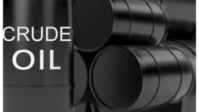Oil prices fall after Trump hails ‘good’ talks with Iran