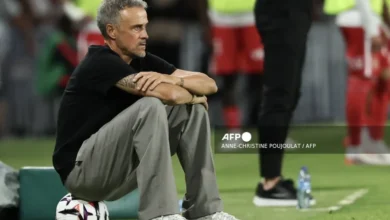 Man City deserve to keep titles — PSG’s Luis Enrique