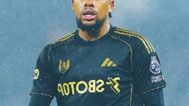 Iwobi backs Fulham resurgence after first EPL win